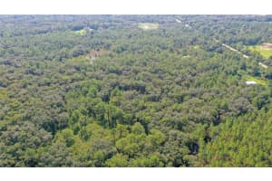 2968 OSCEOLA ROAD, GENEVA, FL 32732 - MLS#MFRO6339406