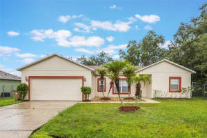 1102 Perpignan Ct, KISSIMMEE