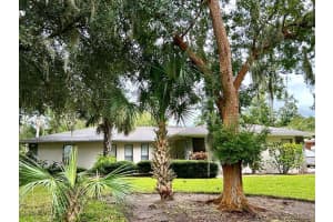 18550 LAKE EMMA DRIVE, GROVELAND, FL 34736 - MLS#MFRO6339449