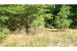 SW AZALEA, DUNNELLON, FL 34431 - MLS#MFRO6339459