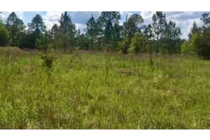 SW AZALEA, DUNNELLON, FL 34431 - MLS#MFRO6339459