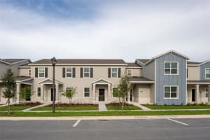 2341 White Buffalo St, APOPKA