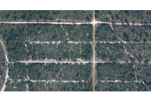604 SCAUP AVENUE, SEBRING, FL 33872 - MLS#MFRO6339503
