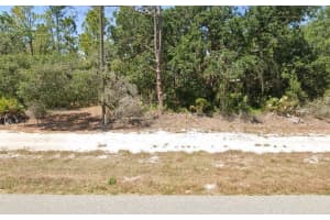 3226 LAKE JUNE BOULEVARD, LAKE PLACID, FL 33852 - MLS#MFRO6339536