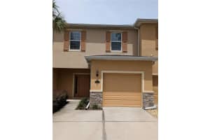 13803 RIVER FISH COURT, TAMPA, FL 33637 - MLS#MFRO6339564
