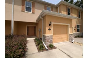 13803 RIVER FISH COURT, TAMPA, FL 33637 - MLS#MFRO6339564
