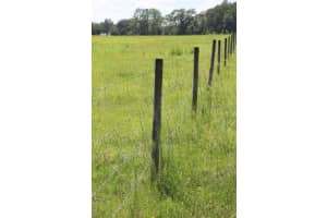 GREEN SWAMP RD, CLERMONT, FL 34714 - MLS#MFRO6339581