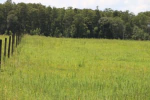 GREEN SWAMP RD, CLERMONT, FL 34714 - MLS#MFRO6339581