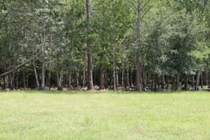 GREEN SWAMP RD, CLERMONT, FL 34714 - MLS#MFRO6339581