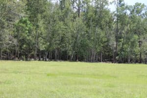 GREEN SWAMP RD, CLERMONT, FL 34714 - MLS#MFRO6339581