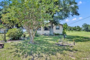 114 FRUITWOOD AVE, EUSTIS, FL 32726 - MLS#MFRO6339720