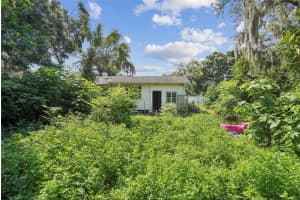 4324 GROVE VIEW AVENUE, TAMPA, FL 33617 - MLS#MFRO6339844