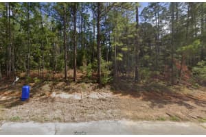 MLS# MFRO6339960, Citrus Springs, Florida 34434