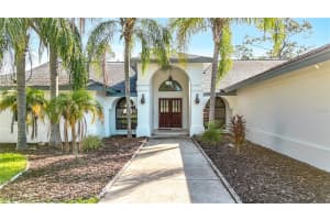 2846 HAMMOCK DRIVE, PLANT CITY, FL 33566 - MLS#MFRO6340131