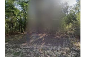 491 NEMO DRIVE, DUNNELLON, FL 34434 - MLS#MFRO6340221