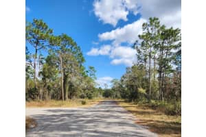 0 SW WOODLAND, DUNNELLON, FL 34433 - MLS#MFRO6340276