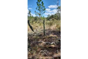 0 SW WOODLAND, DUNNELLON, FL 34433 - MLS#MFRO6340276