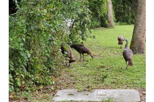 204 SUNRISE BOULEVARD, DEBARY, FL 32713 Sold 10/06/25