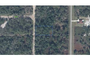 2117 STAUBACH ROAD, AVON PARK, FL 33825 - MLS#MFRO6340387