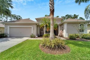 12516 Leatherleaf Dr, TAMPA