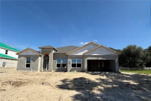 3834 Wolves Creek Pl, APOPKA
