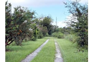 6896 CR 619, BUSHNELL, FL 33513 - MLS#MFRO6340945