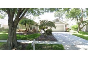 17307 Lockwood Ridge Dr, TAMPA