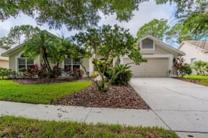 17307 LOCKWOOD RIDGE DRIVE, TAMPA, FL 33647 - MLS#MFRO6340971