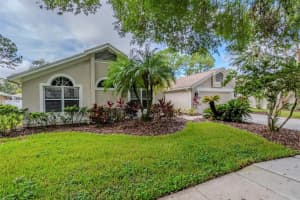 17307 LOCKWOOD RIDGE DRIVE, TAMPA, FL 33647 - MLS#MFRO6340971