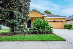 8109 SEQUESTER LOOP, LAND O LAKES, FL 34637 - MLS#MFRO6340984