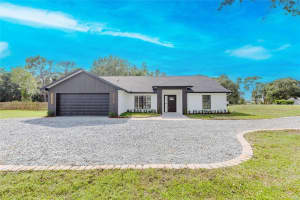 4025 MEADOW RUN LANE, WESLEY CHAPEL, FL 33543 - MLS#MFRO6340998
