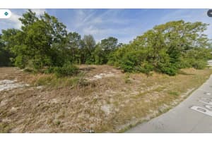 BAHIA PASS TRACK, OCALA, FL 34472 - MLS#MFRO6341027