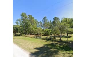 26300 PHEASANT RUN, WESLEY CHAPEL, FL 33544 - MLS#MFRO6341052