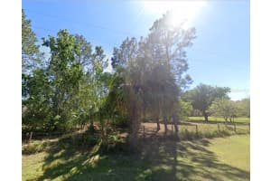 26300 PHEASANT RUN, WESLEY CHAPEL, FL 33544 - MLS#MFRO6341052