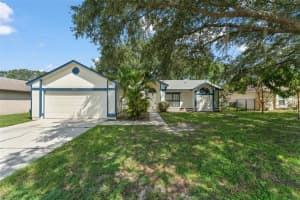 307 Drake Elm Dr, KISSIMMEE