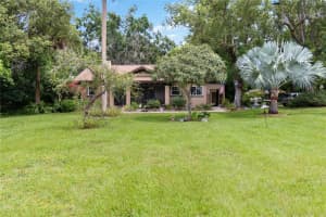 245 CENTRAL AVENUE, APOPKA, FL 32703 - MLS#MFRO6341211