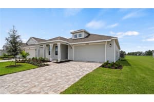 30285 RUSTIC MILL STREET, MOUNT DORA, FL 32757 - MLS#MFRO6341285