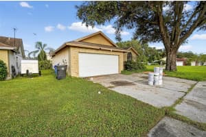 12728 Dunhill Dr, TAMPA