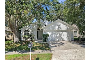 10905 Brucehaven Dr, RIVERVIEW