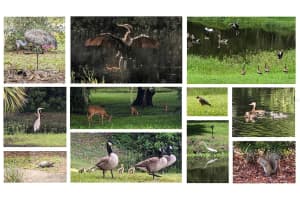 6840 WINDOVER WAY, TITUSVILLE, FL 32780 Sold 11/25/25