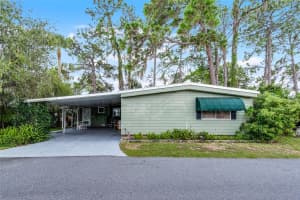 192 PALM MEADOWS DRIVE, EUSTIS, FL 32726 - MLS#MFRO6341551