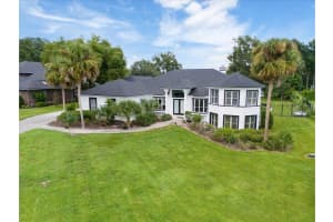 12001 LAKE BUTLER BOULEVARD, WINDERMERE, FL 34786 - MLS#MFRO6341557