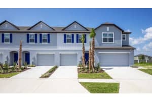 32099 EASTERN REDBUD BRANCH, SAN ANTONIO, FL 33576 - MLS#MFRO6341625