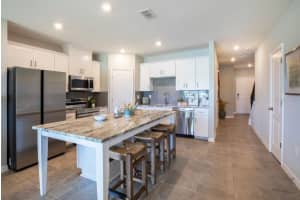 10667 IRONWOOD TREE WAY, SAN ANTONIO, FL 33576 - MLS#MFRO6341646