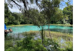 00 BLUE BERRY LANE, DUNNELLON, FL 34431 - MLS#MFRO6341693