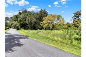 15325 TROUSDALE STREET, CLERMONT, FL 34715 - MLS#MFRO6341770