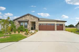 13098 Wellspring Dr, LITHIA