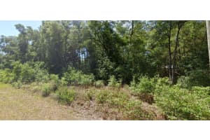 00 STARLING DRIVE, DUNNELLON, FL 34431 - MLS#MFRO6341881