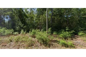 00 STARLING DRIVE, DUNNELLON, FL 34431 - MLS#MFRO6341881