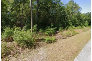 00 STARLING DRIVE, DUNNELLON, FL 34431 - MLS#MFRO6341881